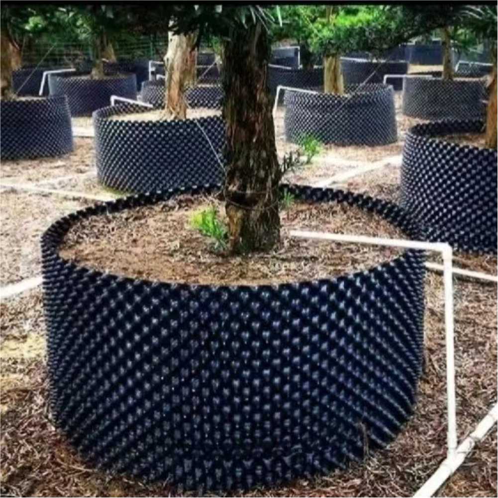 Grow Container Garden Tree Bon - Nursery review and price