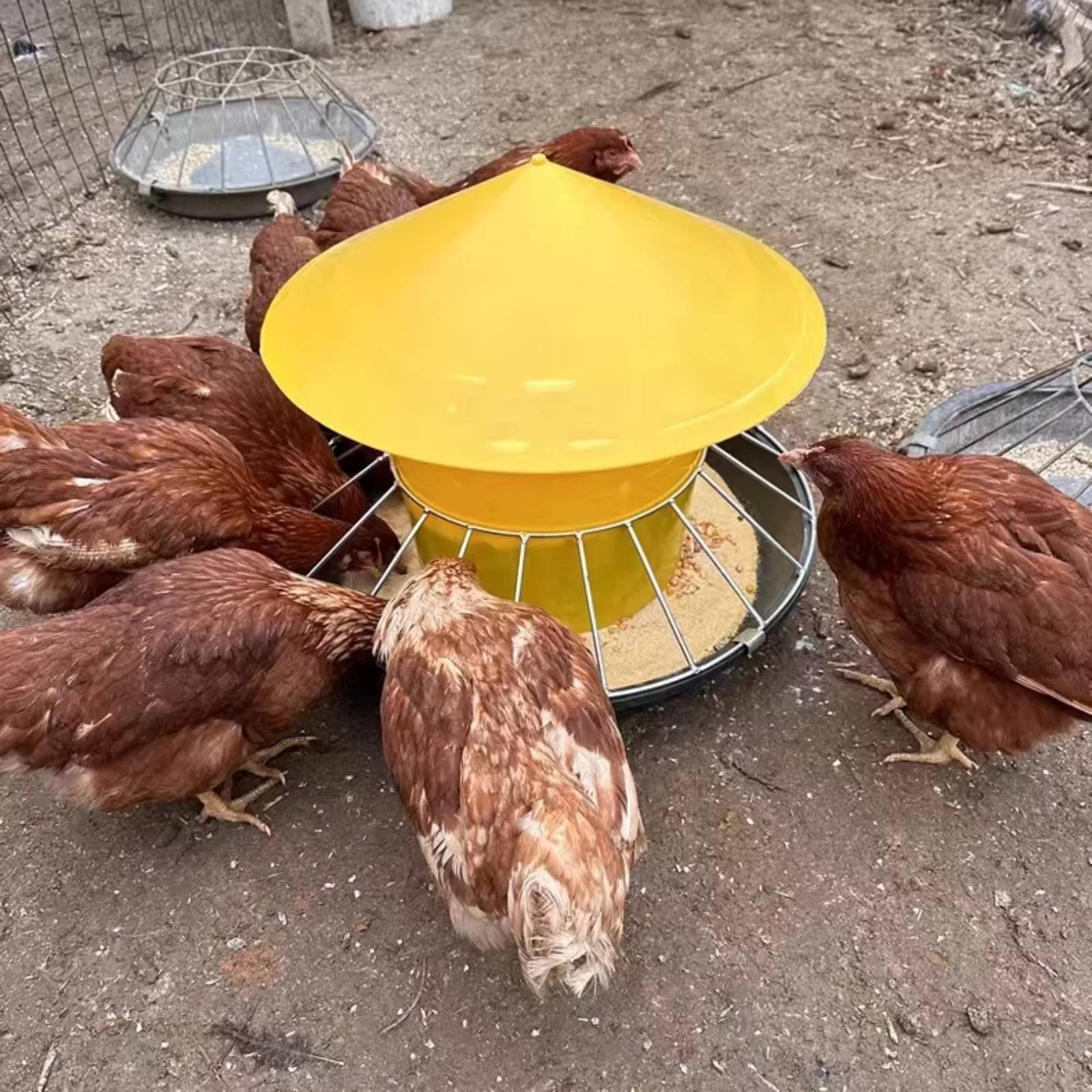 Round Fowl Feeder Large Capaci - Feeding review and price