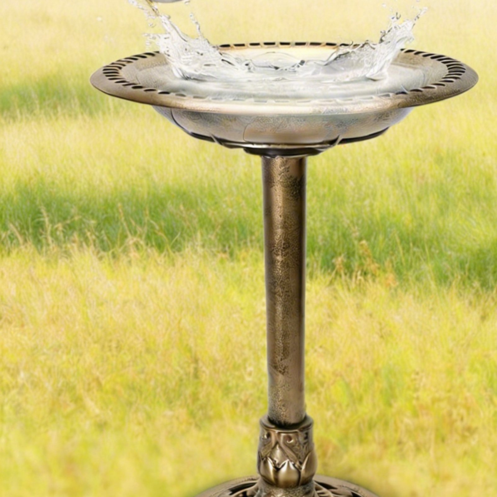 Bird Bath Bowl with Ground Sta - Feeding review and price