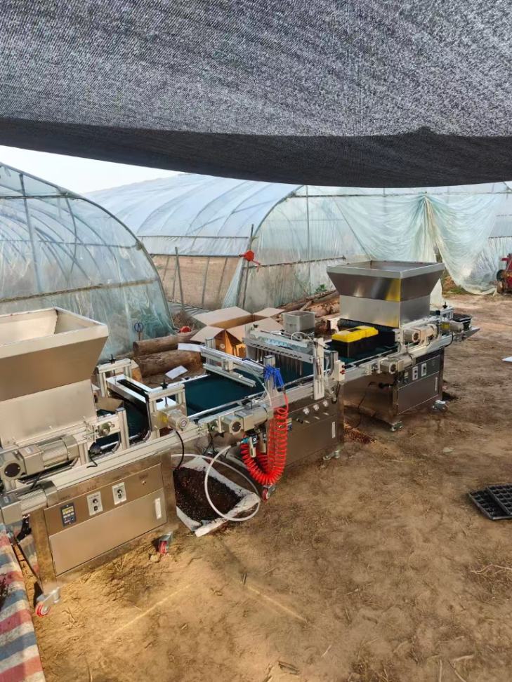 Greenhouse Vegetable Nursery M - Nursery review and price