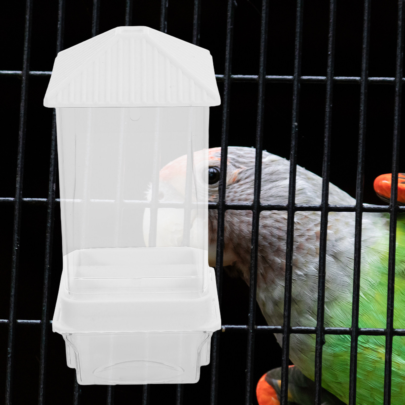 Automatic Bird Feeder Plastic  - Feeding review and price
