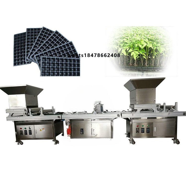 Greenhouse Vegetable Nursery M - Nursery review and price