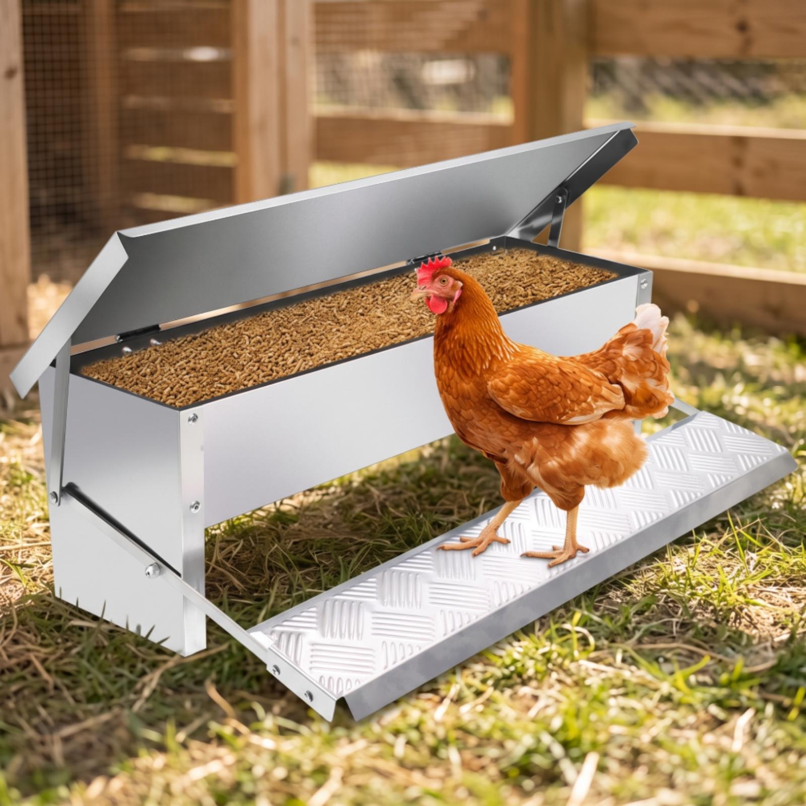 Automatic Poultry Feeder Troug - Feeding review and price